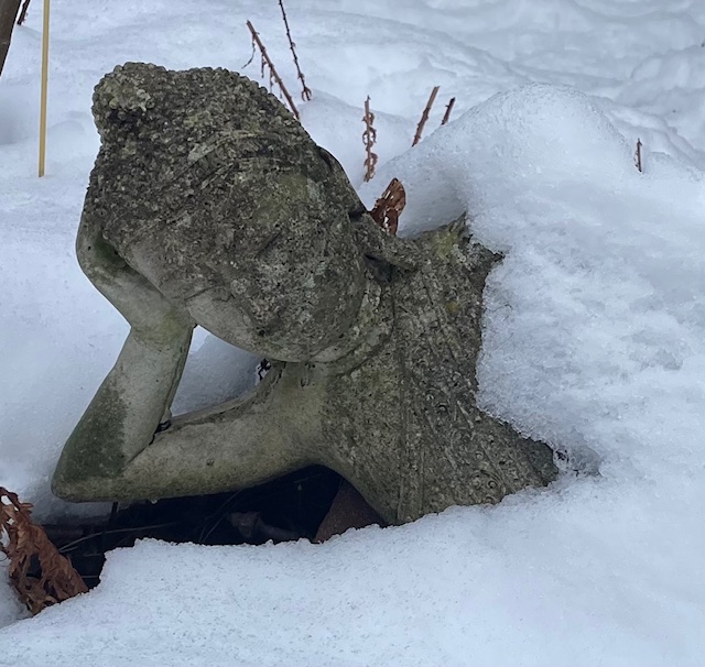 Zen.nl, Zen, meditatie, leren mediteren, foto